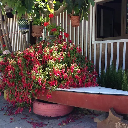 Palheiros De Mira イン *