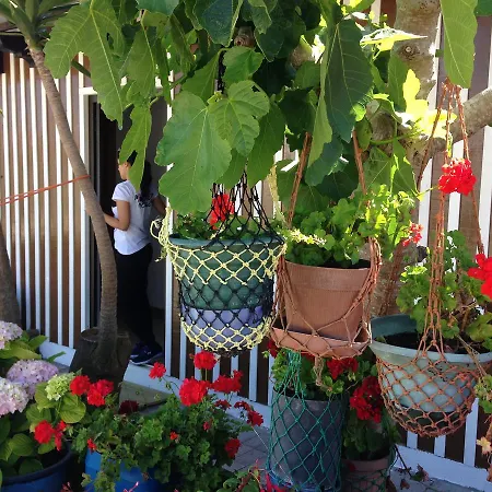 Palheiros De Mira * Praia de Mira