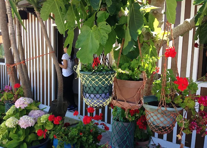 Palheiros De Mira * Praia de Mira